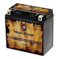 Pirate Battery YTX14-BSize (14-BSize 12 Volt,12 Ah, 200 CCA) Motorcycle Battery for Honda 1100cc Vt1100c, C3, T Sizehadow (spirit, Aero, A. C. E. Tourer) 2006