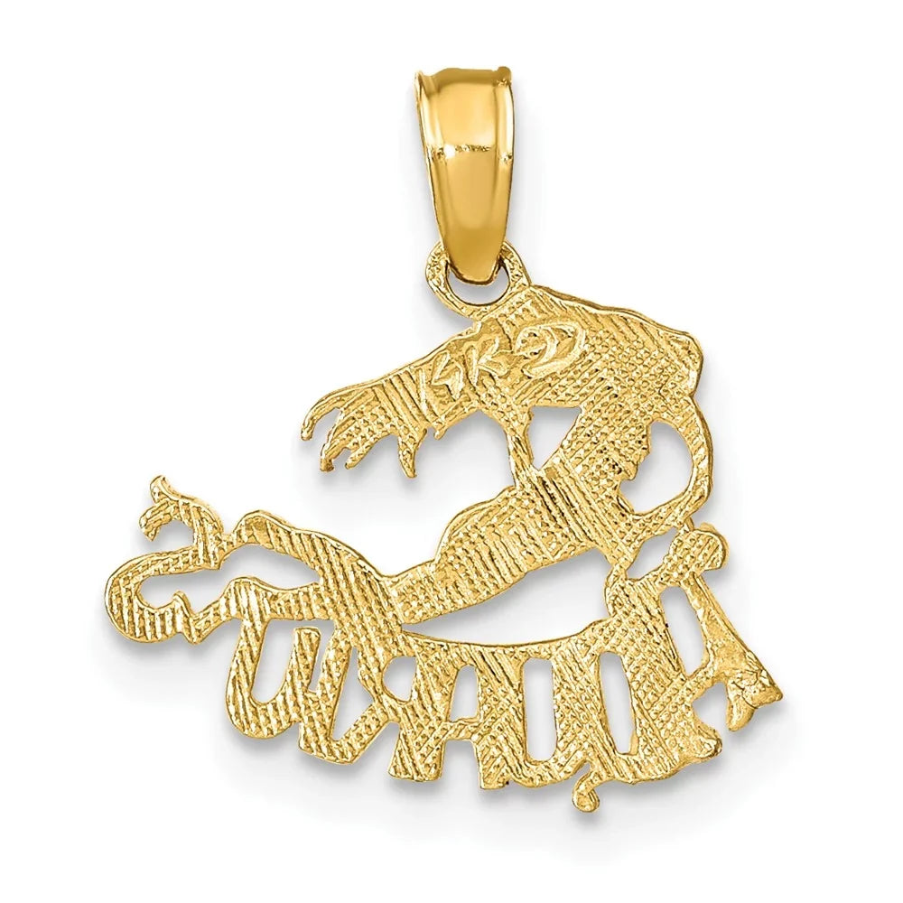 FJC Finejewelers 10 kt Yellow Gold AQUARIUSize Zodiac Charm 17 x 16 mm