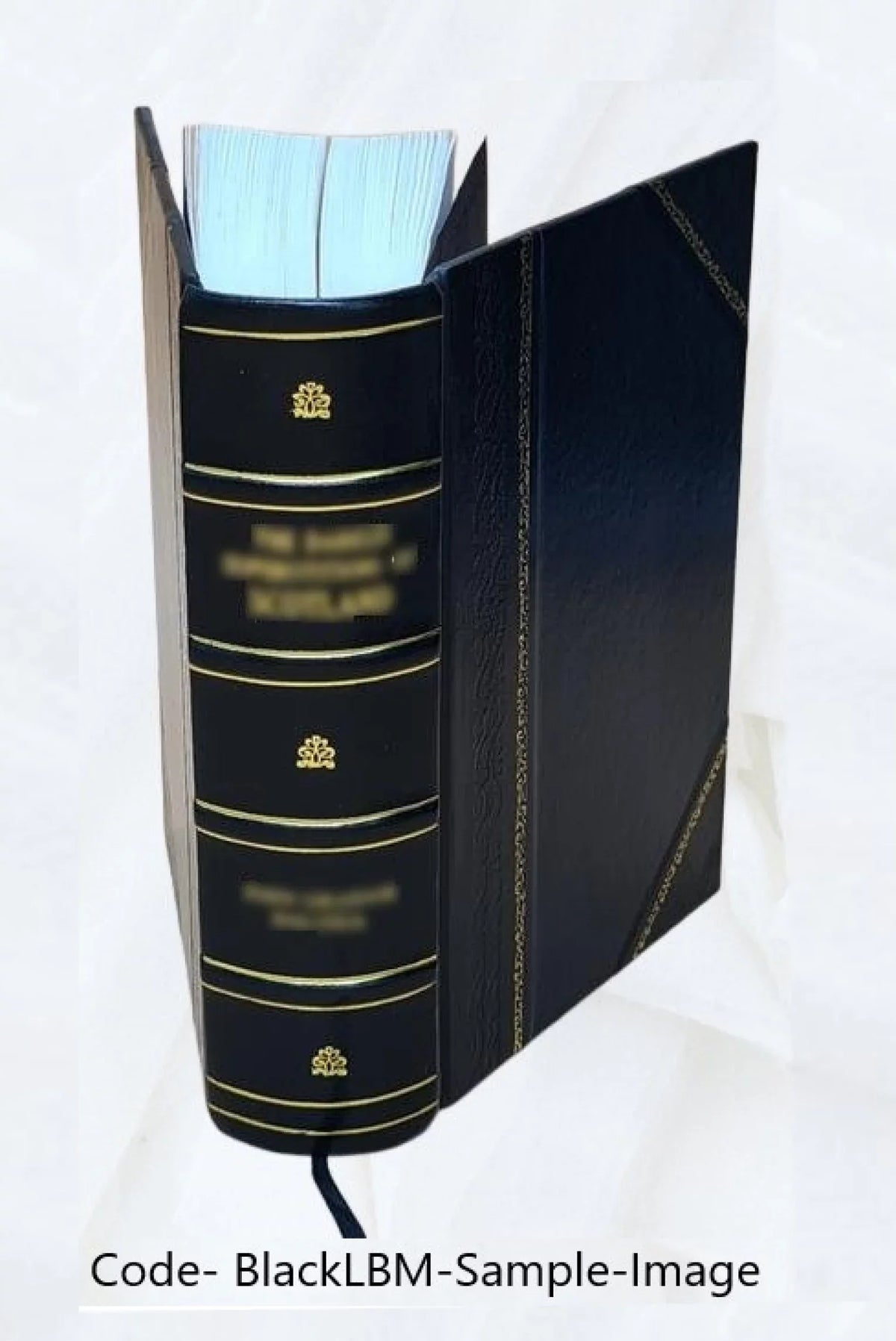 History of Dubuque County, Iowa; being a general survey of Dubuque County history, including a history of the city of Dubuque and special account of districts throughout the county, from the earliest
