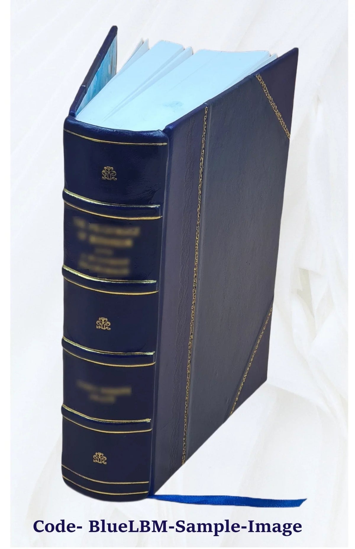 Karla Havlíčka Borovského politické spisy 1900 [Leather Bound]
