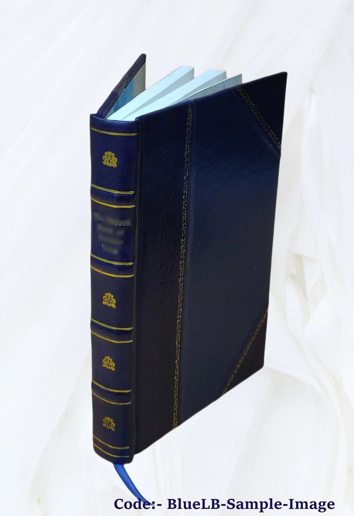 Ludouicus Magnus Francorum rex christianissimus heroico metro, attextisque notis expressus. Auctore Flaminio Lupo Mirandulano e Sizeoc. Jesu 1700 [Leather Bound]