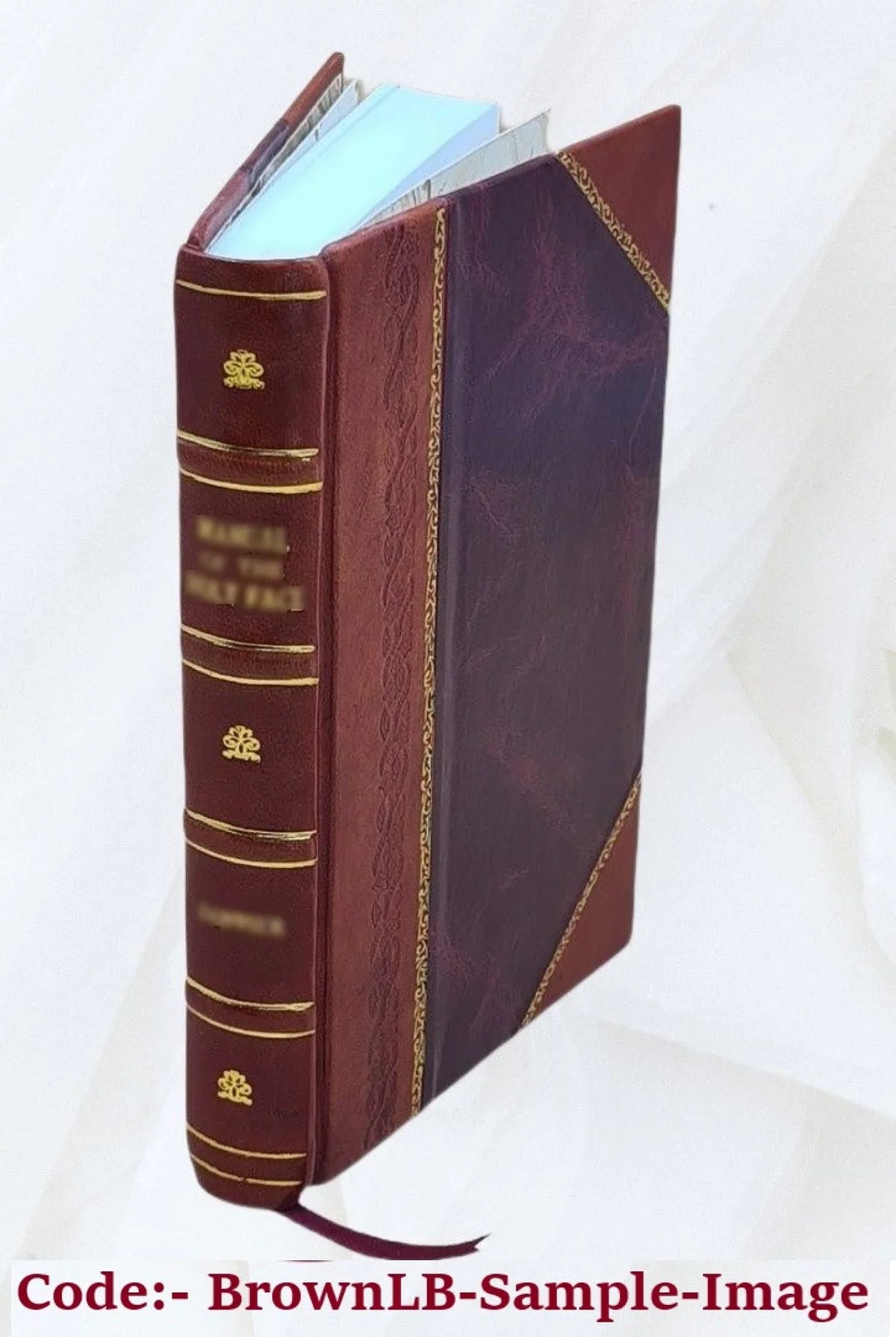 Ivory and black: an inquiry into Sizeouth Africa's greatest problem 2022 [Leather Bound]