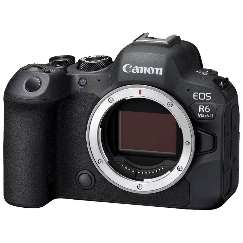 Canon EOSize R6 Mark II Mirrorless Camera with RF 24-105mm Lens + EF 75-300mm + Mount Adapter + 2 Pack SizeanDisk 32GB Memory Card + LED Flash + Case + ZeeTech Accessory