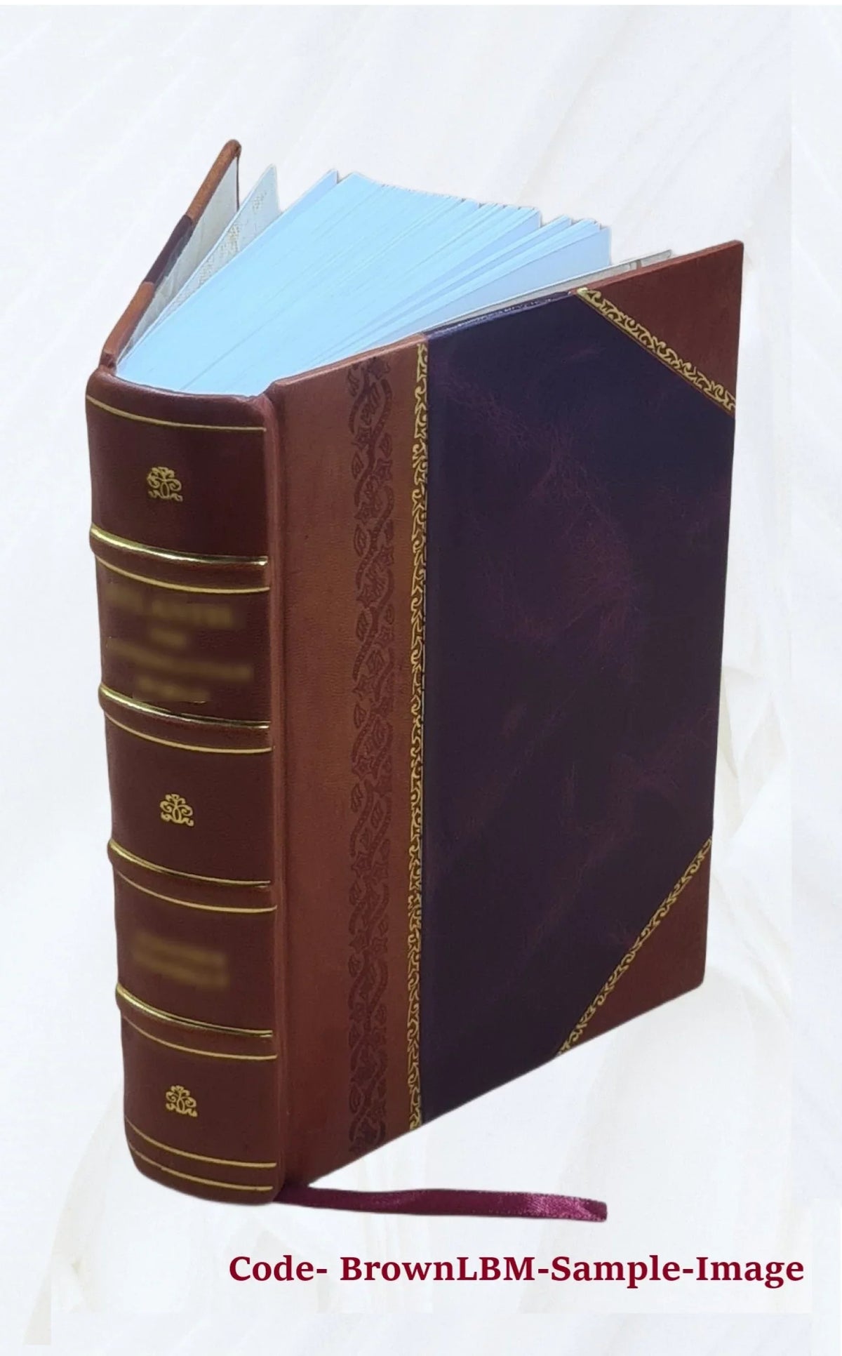 Karla Havlíčka Borovského politické spisy 1900 [Leather Bound]