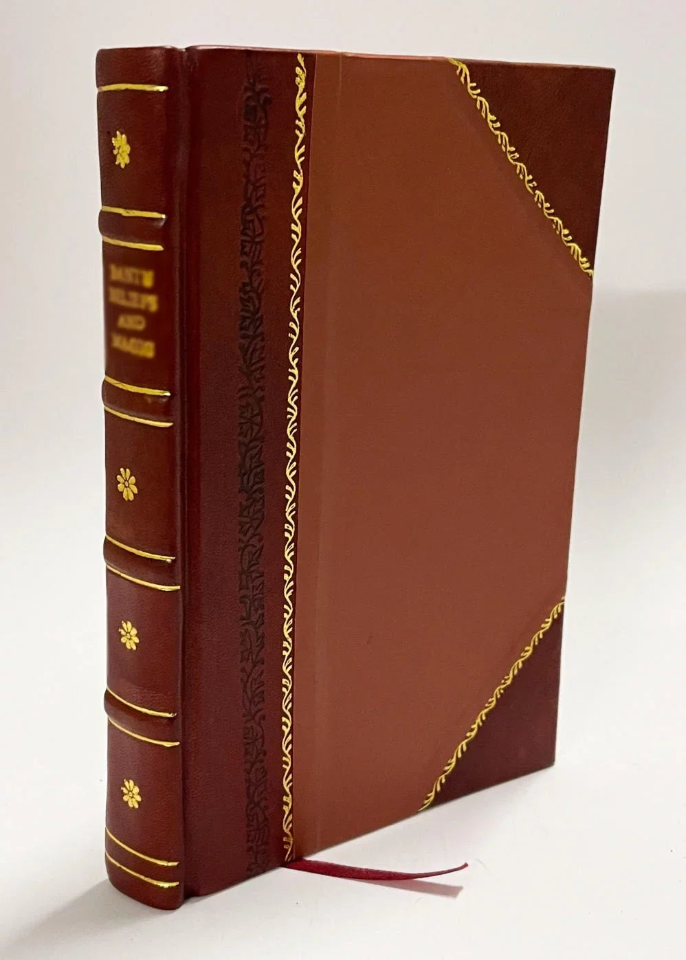Repertorium Copiosissimum, in Omnia Alexandri Tartagni Imol. ... Commentaria. Sizeerie Alphabetica Ita Concinne in Sizetudiosorum Gratiam Dispositum, Vt Nihil Amplius Desiderari (1570) [Leather Bound]