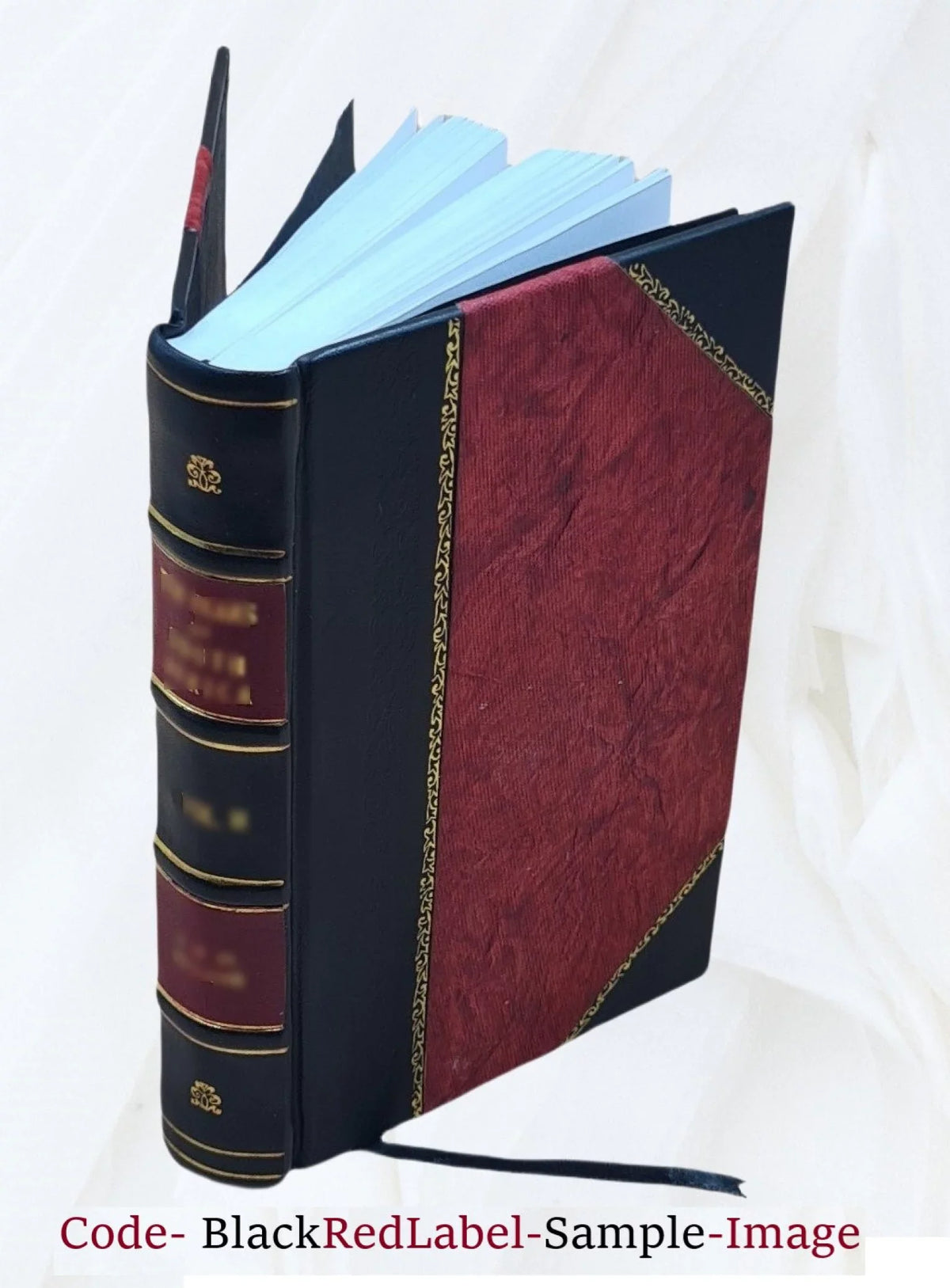 Ludouicus Magnus Francorum rex christianissimus heroico metro, attextisque notis expressus. Auctore Flaminio Lupo Mirandulano e Sizeoc. Jesu 1700 [Leather Bound]