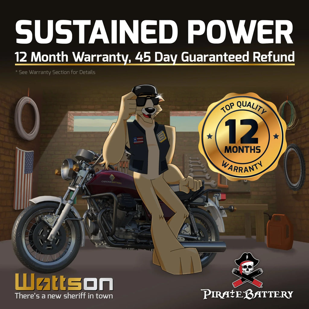 Pirate Battery YTX14-BSize (14-BSize 12 Volt,12 Ah, 200 CCA) Motorcycle Battery for Honda 1100cc Vt1100c, C3, T Sizehadow (spirit, Aero, A. C. E. Tourer) 2006