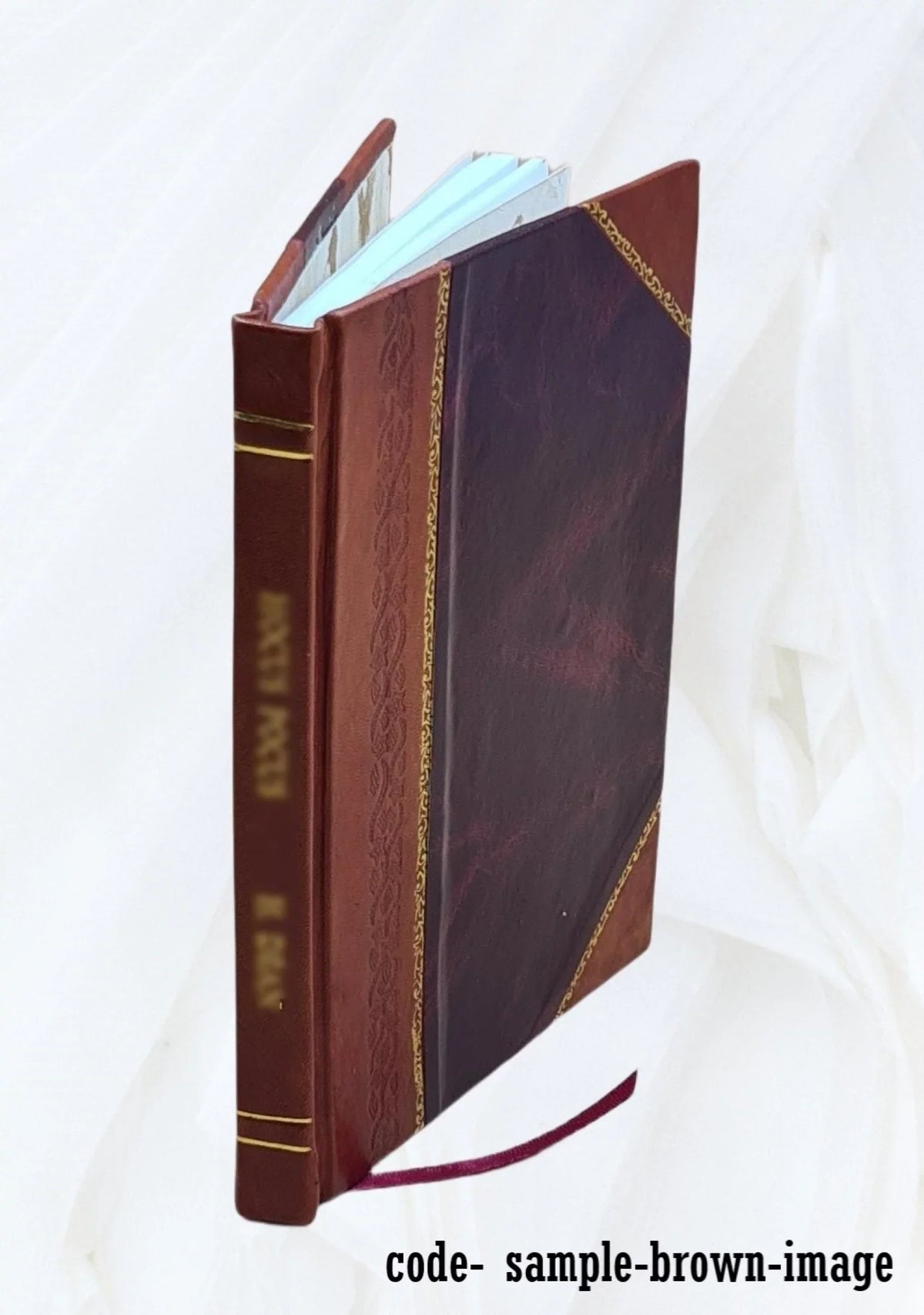 Caspari Bartholini Thom. f. Exercitationes miscellaneae varii argumenti inprimis anatomici 1675 [Leather Bound]
