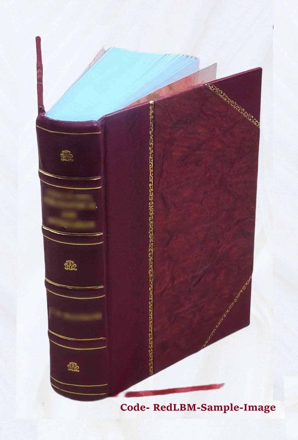 Karla Havlíčka Borovského politické spisy 1900 [Leather Bound]