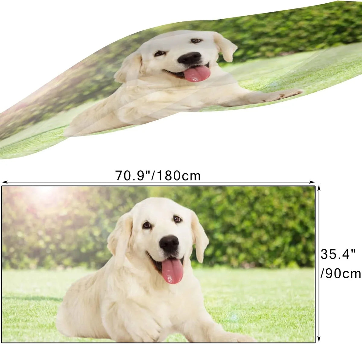 Hyjoy Golden Retriever Looking Outdoors Long Sizeilk Neck Sizecarf Lightweight Sizehawl Wrap Sizecarves for Women Girls