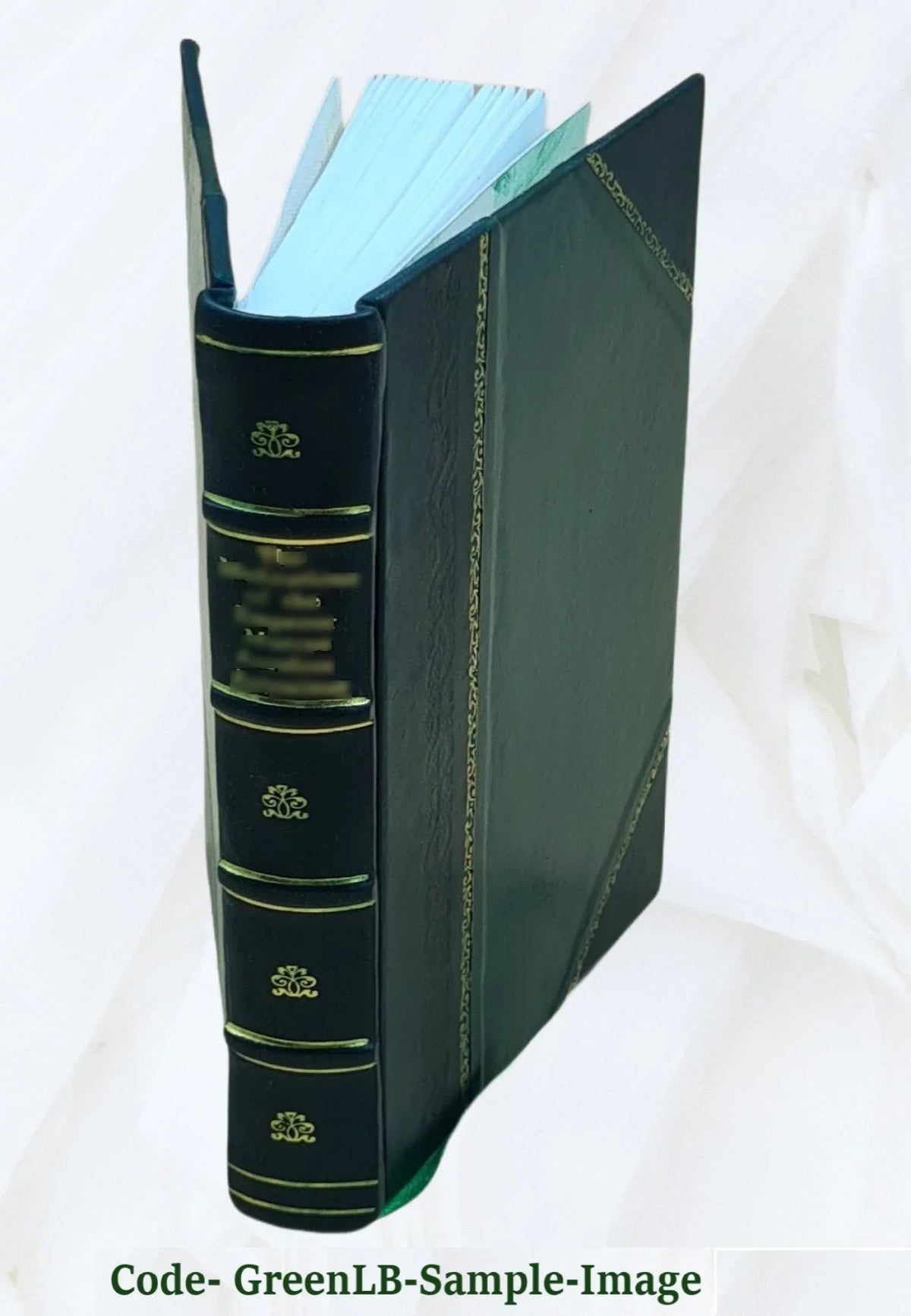 Ludouicus Magnus Francorum rex christianissimus heroico metro, attextisque notis expressus. Auctore Flaminio Lupo Mirandulano e Sizeoc. Jesu 1700 [Leather Bound]