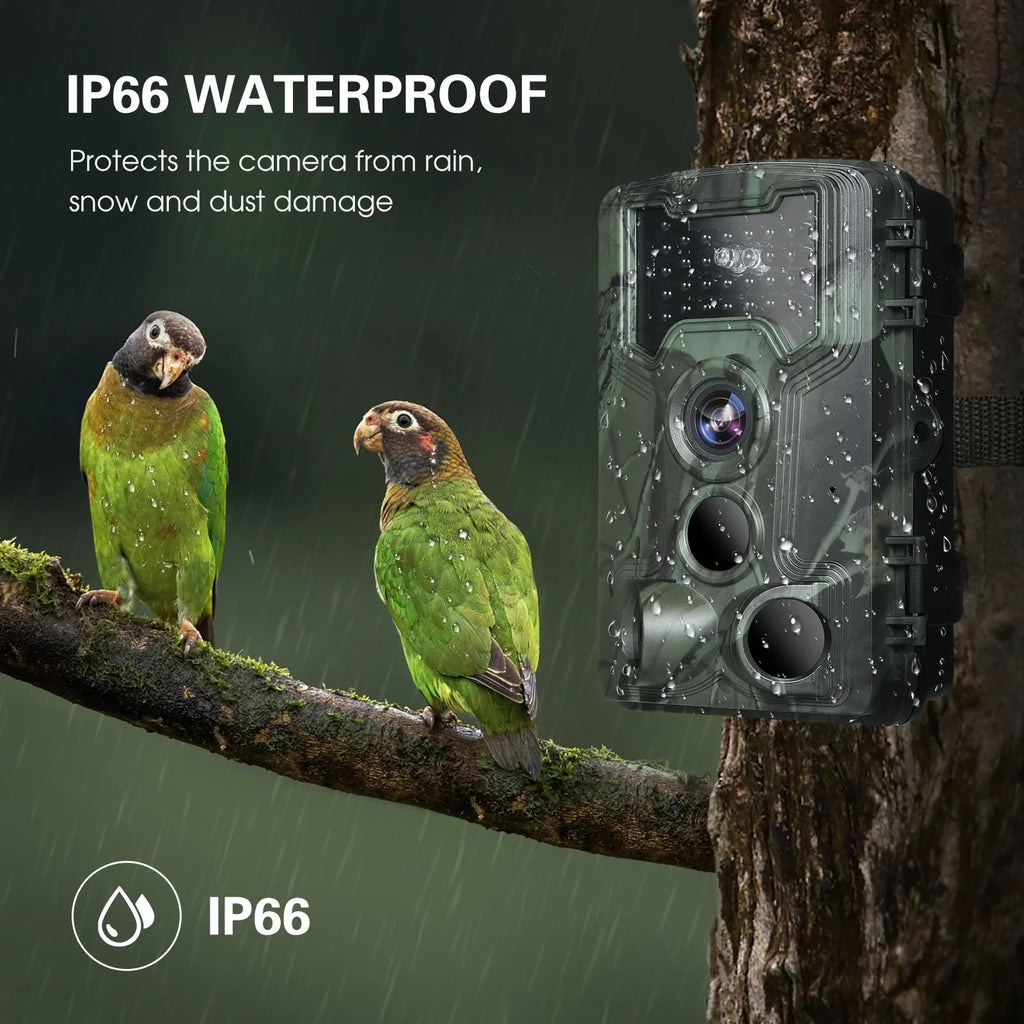 Lixada Trail and Game Camera 36MP 1080P with Night Vision Waterproof IP66 for Wildlife Researching