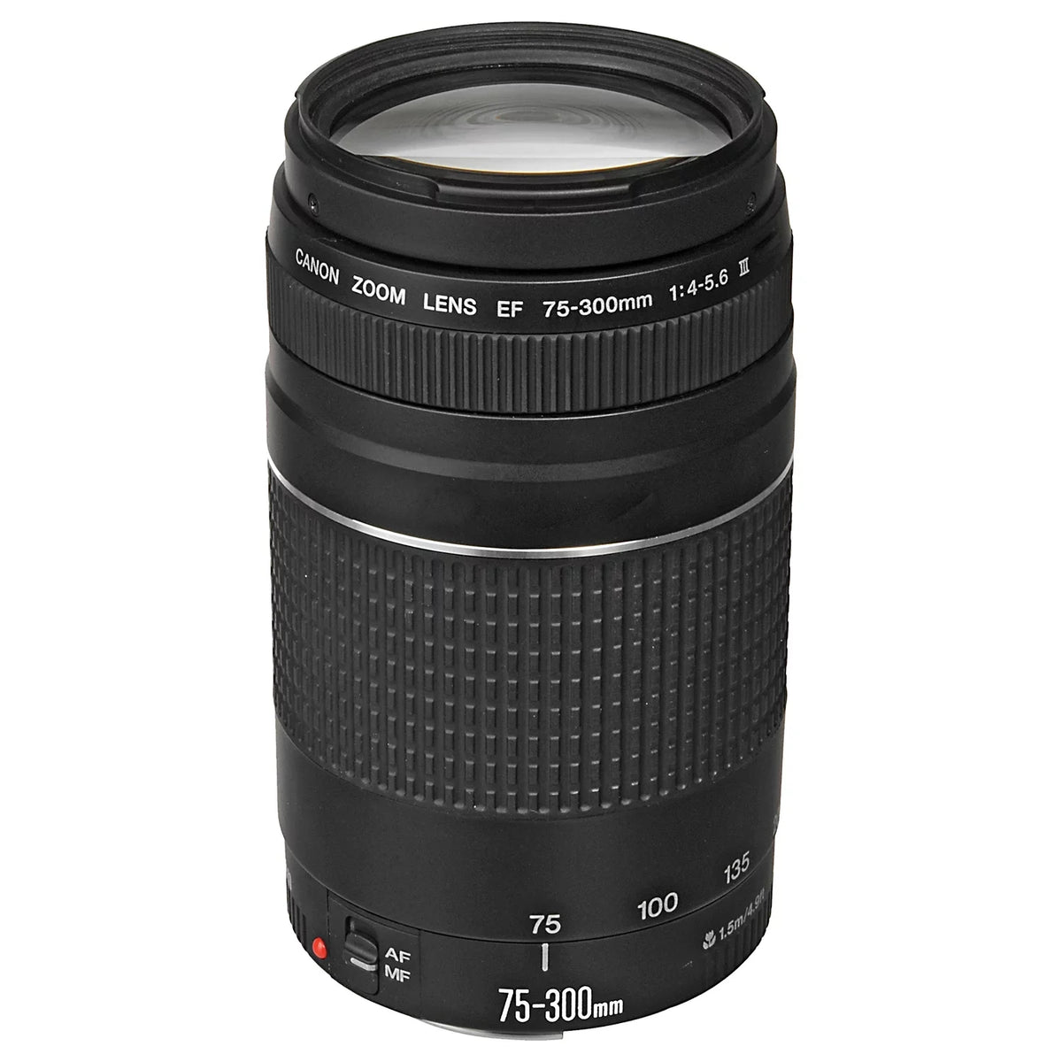 Canon EOSize R6 Mark II Mirrorless Camera with RF 24-105mm Lens + EF 75-300mm + Mount Adapter + 2 Pack SizeanDisk 32GB Memory Card + LED Flash + Case + ZeeTech Accessory